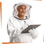 Cursos de apicultura online